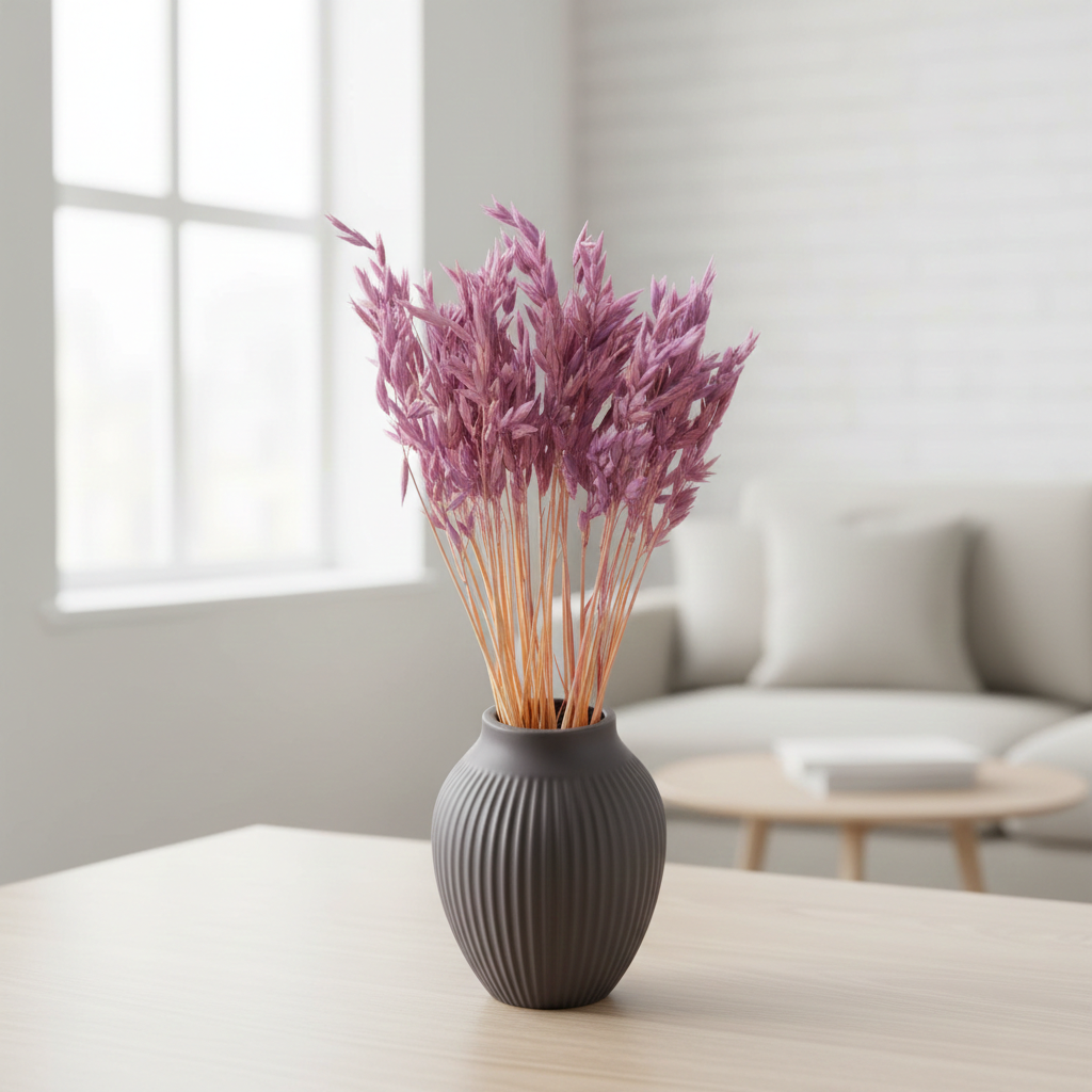 Sušená Avena (Oves) fialová - přírodní dekorace do interiéru